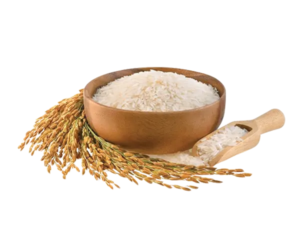 Image of rice