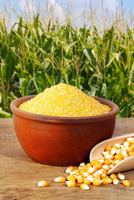 image of corn