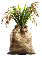 image of sack
