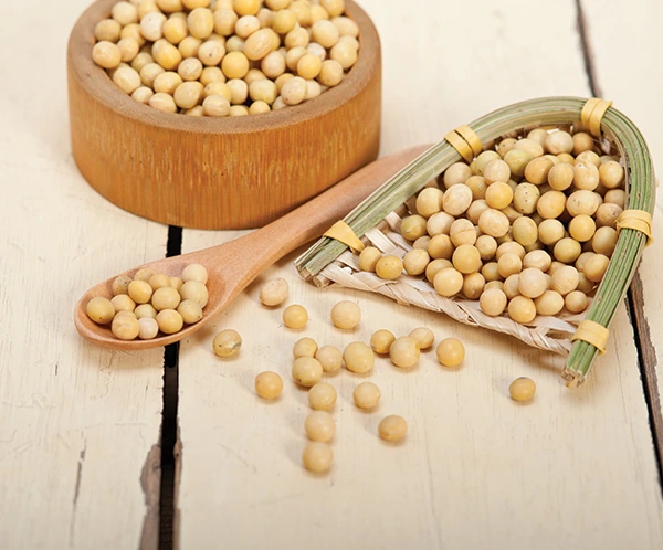 Image of Soya beans
