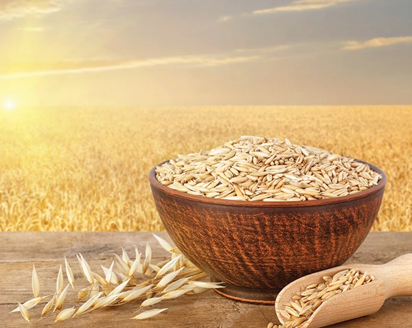 Image of Wheat